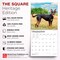 BrownTrout; Australian Kelpies | 2027 12 x 24 Inch (Hanging) Monthly Square Wall Calendar | Plastic-Free; Category:Wall Calendars; Image:7